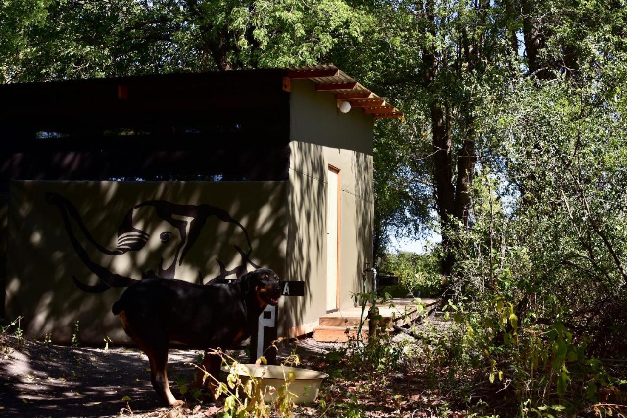 Vila Phazama Farm Maun Exteriér fotografie