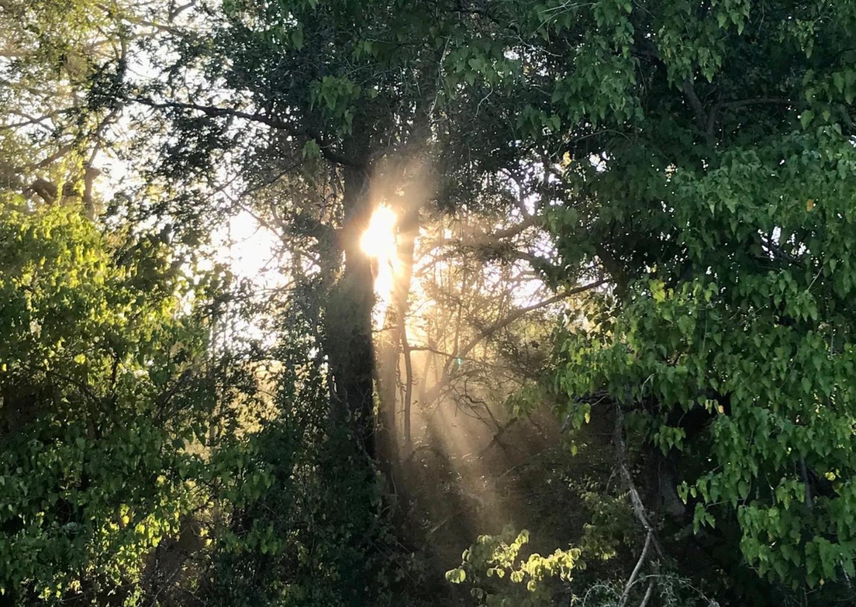 Vila Phazama Farm Maun Exteriér fotografie