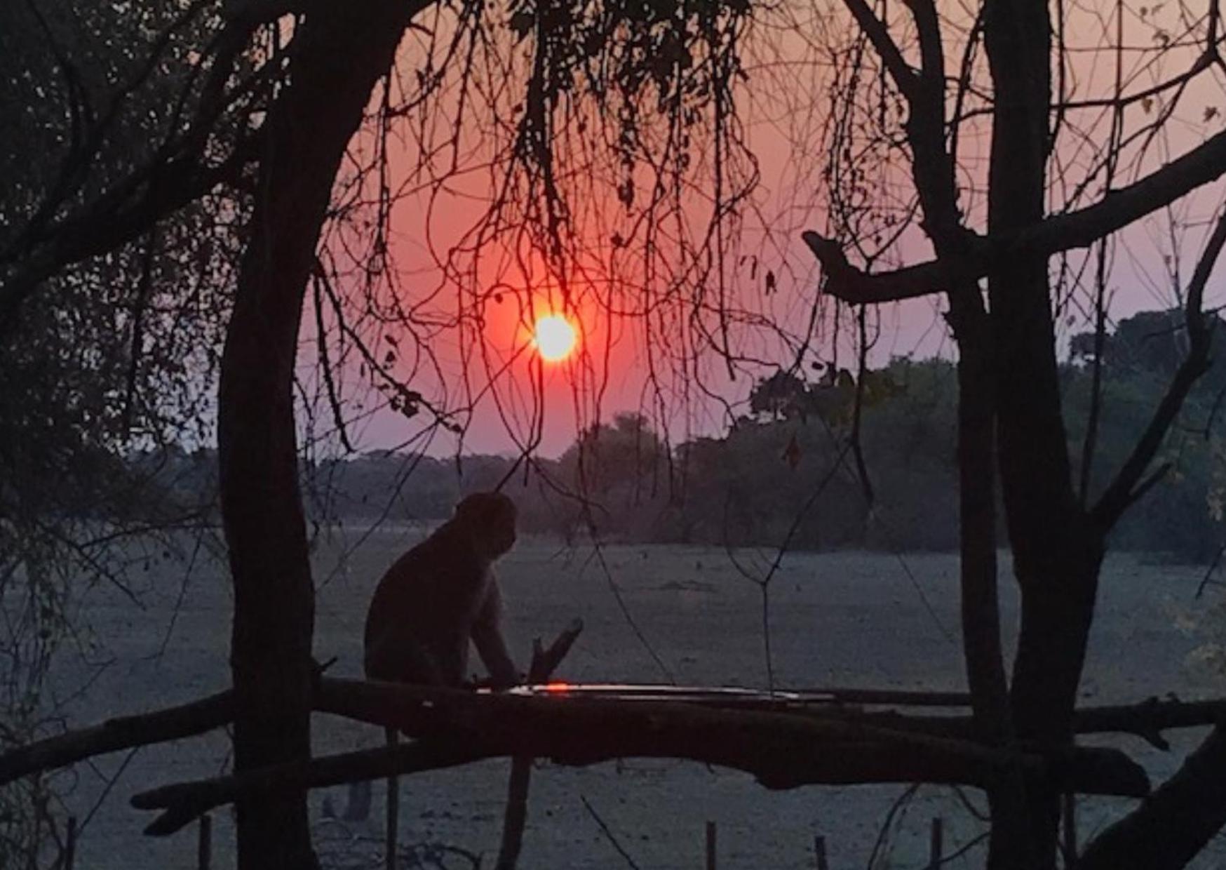 Vila Phazama Farm Maun Exteriér fotografie