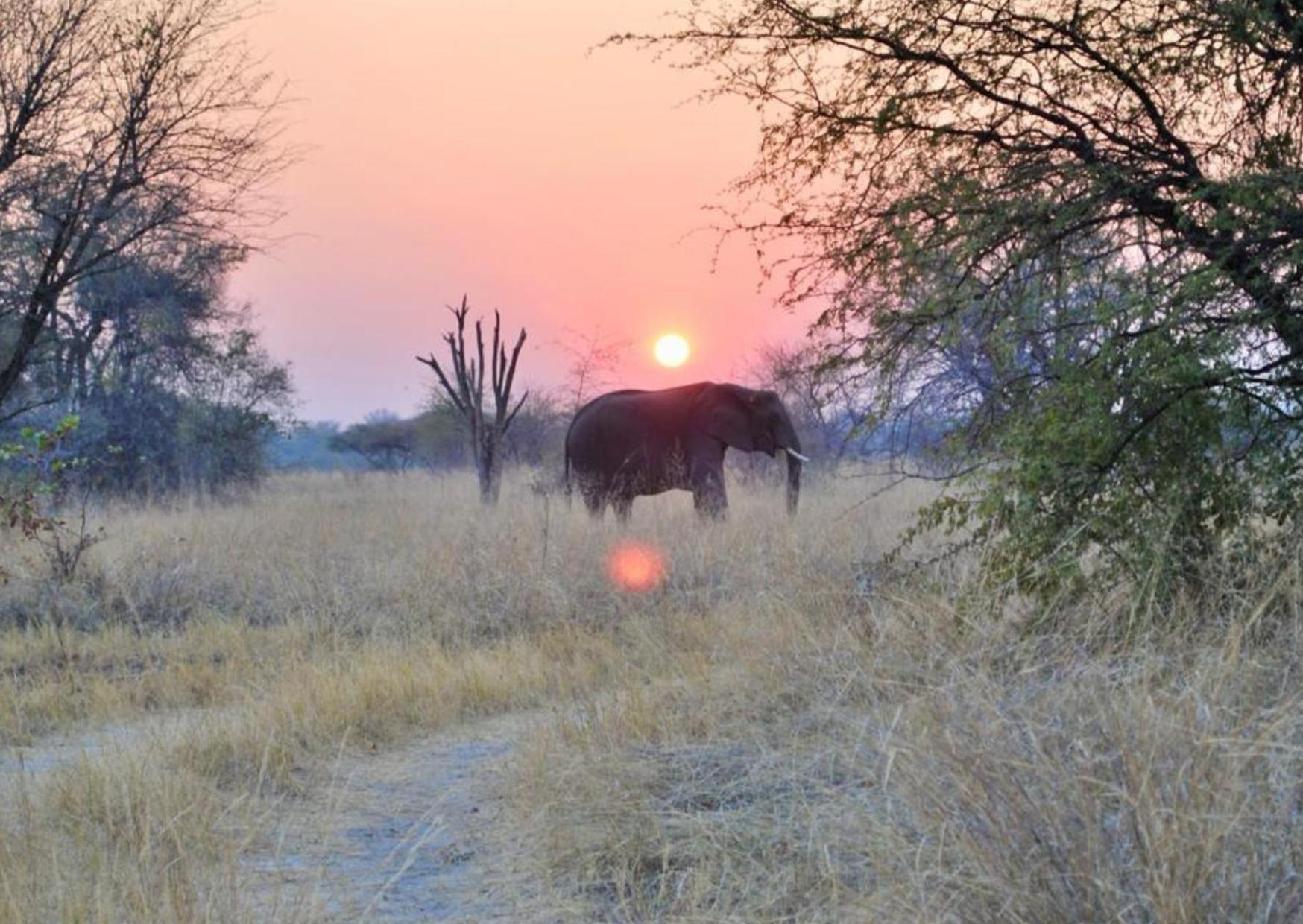 Vila Phazama Farm Maun Exteriér fotografie