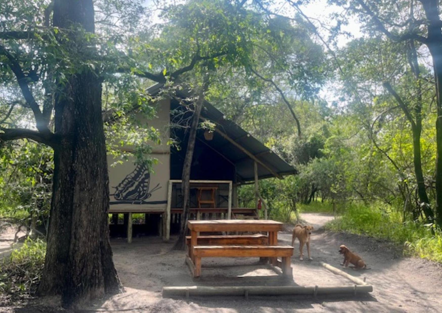 Vila Phazama Farm Maun Exteriér fotografie