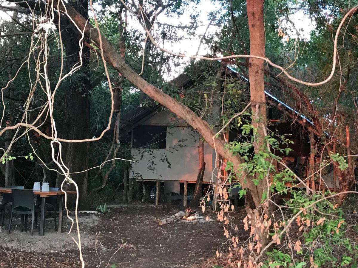 Vila Phazama Farm Maun Exteriér fotografie